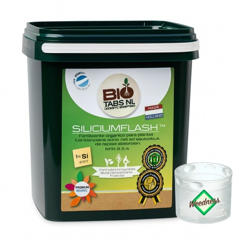 Biotabs silicium flash - silicium,