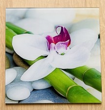 Glasbild mit orchideenmotiv - glasbild,