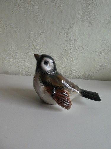 Göbel spatz sperling - spatz,