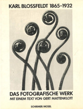 Das fotografische Werk von