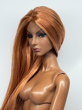 Ocean Drive Agnes Rerooted