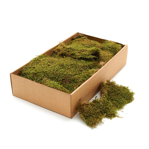 Lappenmoos naturmoos - lappenmoos,