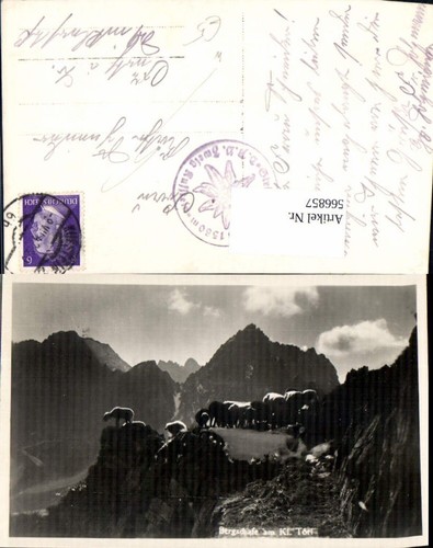 566857 foto bergschafe - 566857,foto, ak