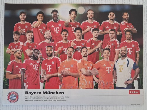Mannschaftsfoto bayern - mannschaftsfoto, fc