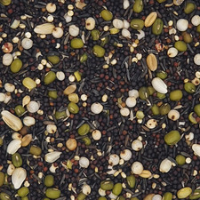 Keimfutter für Kanarien -