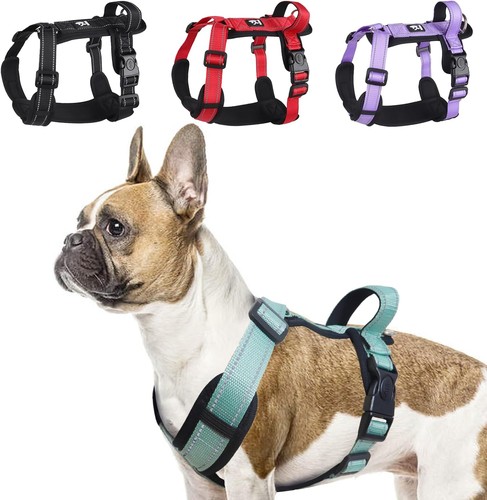 Hundegeschirr grün - hundegeschirr,