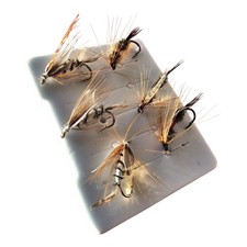 Nymphen Trockenfliegen 6er Set