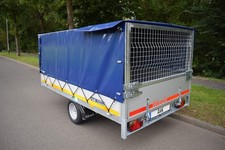 Laubgitterplane Plane für