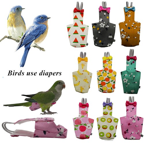 Unterwäsche vogel windel - vogel,