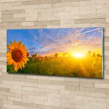Glas-Bild Wandbilder Druck auf