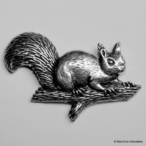Rotes eichhörnchen auf ast - rotes,