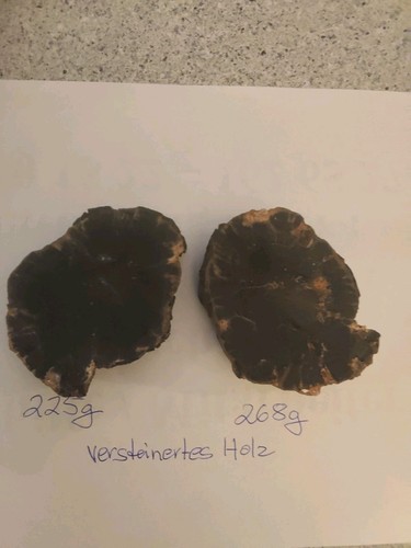 Versteinertes holz scheiben - scheiben, 2x