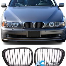 Kühlergrill Nieren Grill