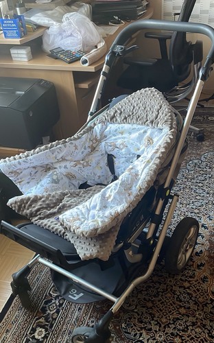 Kinderwagen und tragetasche - und,