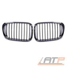 2x KÜHLERGRILL NIERE