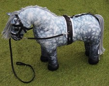 Leder Longieren Longe langer