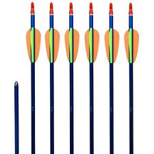 6 Alupfeile Aluminiumpfeile 1916 Pfeile Alu Recurvebogen Sportbogen bis ca 40lbs