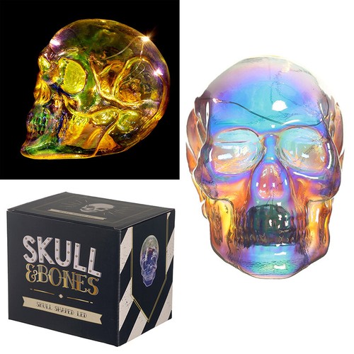 Skull bones schillernder - skull,