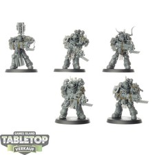 Black Templars - 5x Heavy