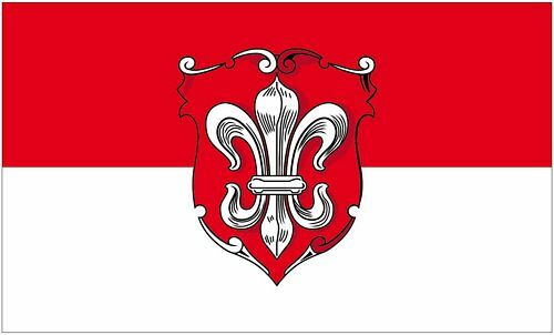 Fahne flagge neusalza - /,