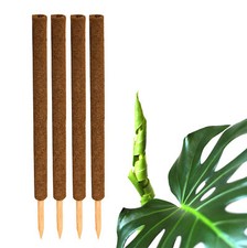 4x Pflanzstab Rankhilfe