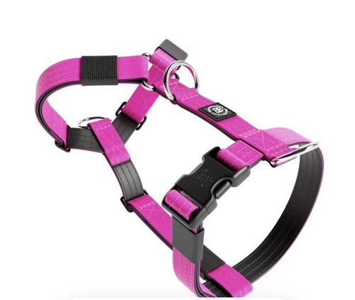 Bully billows geschirr - bully,