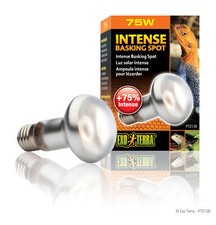 Exo terra intense - terra,