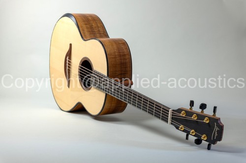 Lowden f50 tazmanian - lowden,