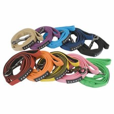 Authentic Puppia Two Tone Lead