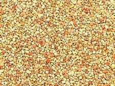 Steinteppich BASIS SET 5m² für Inn/Outdoor viele Farben Terrasse Pool