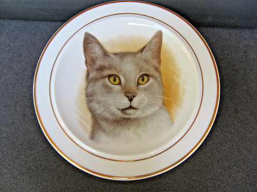 Sammelteller wandteller katze - sammelteller/wandteller,