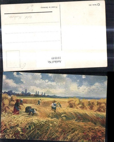 184849 künstler wold - 184849,künstler, ak