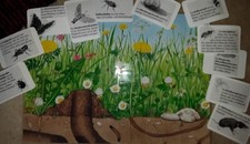 Montessori Sachkunde Wiese