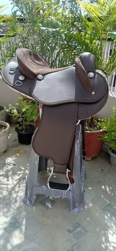 Schöner halbrassiger
