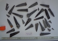 Lias Belemniten vom Fundort