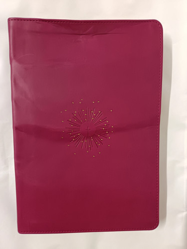 Nlt large print thinline - large,
