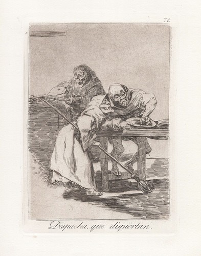 Francisco goya plate - francisco,