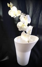 Blumen vase trichtervase - blumen,