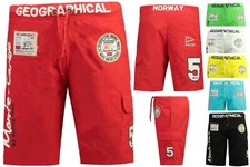 Geographical Norway Men's Swim