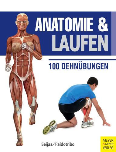 Guillermo seijas anatomie - guillermo, |