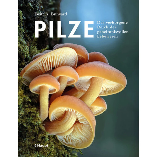 Pilze pilzbuch - pilze,