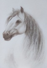 Original Ölgemälde Weißes