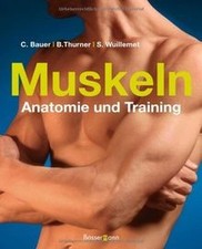 Muskeln - Anatomie  Training von Bernd Thurner | Buch | Zustand gut