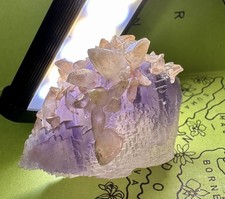 Seltener Fluorit (Pakistan) Kristall Edelstein Stufe  für Mineralien Sammlung