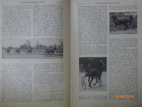 Rodel trabt pacing - trabt, forelle