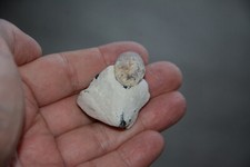 Donnerkeil & Kiesel Einschluss