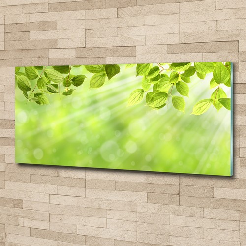 Acrylglas bild wandbilder - acrylglas-bild,