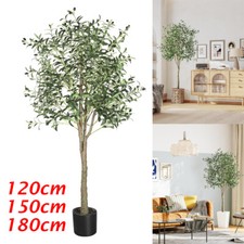 Olivenbaum Künstlich