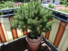 Balkon Sichtschutz Bespannung  Balkonverkleidung Sonnen Wind Schutz 3 tlg.