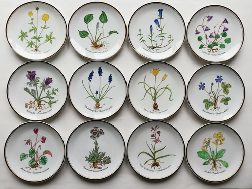 Rosenthal aus liebe - aus, natur